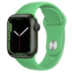 HOCO Curea Ceas WA01 Silicon Apple Watch 42 / 44 / 45 / 49mm – Verde